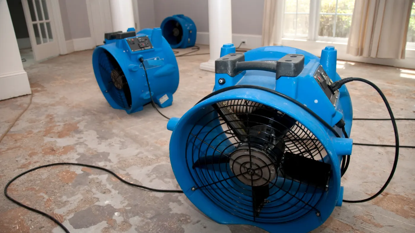 Structural drying after storm intrusion in Windermere